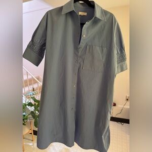 COS blue Button Down dress for Everyday Elegance